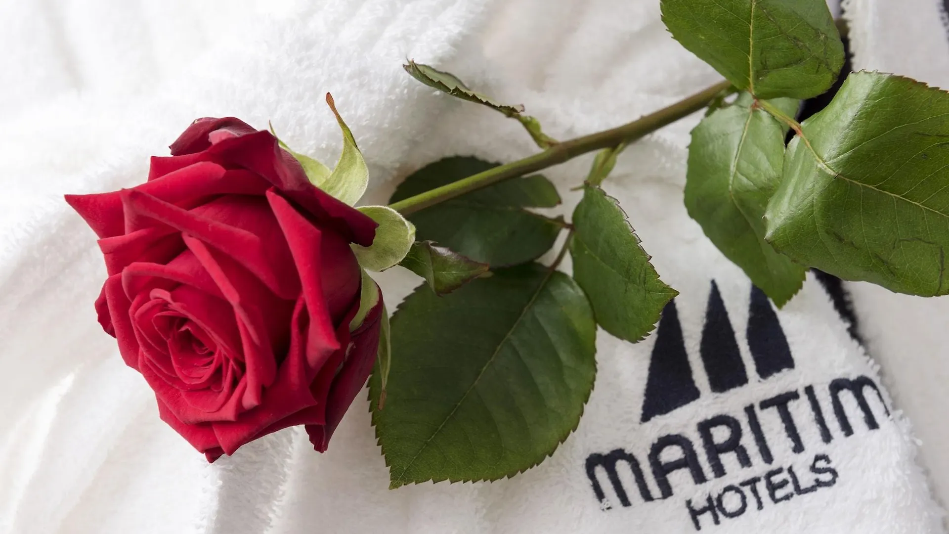 Maritim Hotel Koln 4*, Cologne Germany